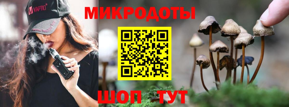 Галлюциногенные грибы прущие грибы  Вход с VPN  Новороссийск 