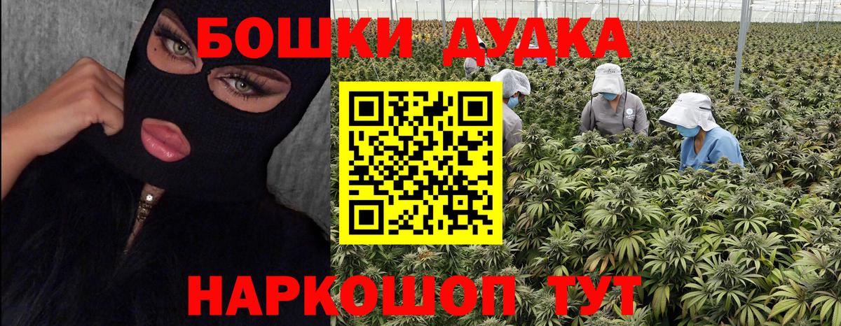 Каннабис индика Новороссийск